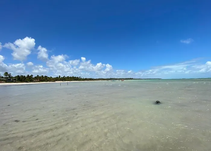 Casa Oka X